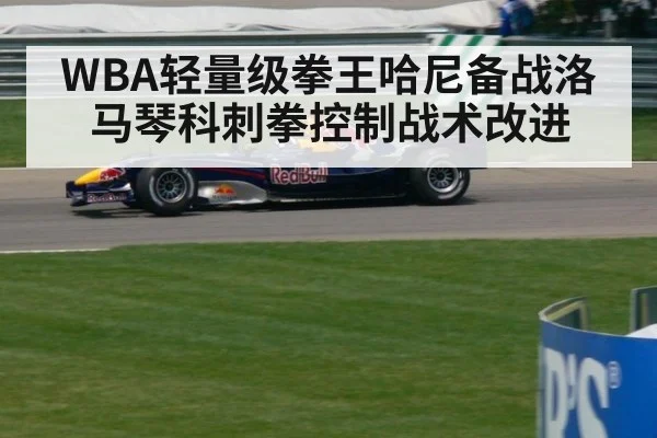WBA轻量级拳王哈尼备战洛马琴科刺拳控制战术改进